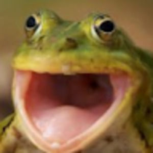 Meet your Posher, Roburt